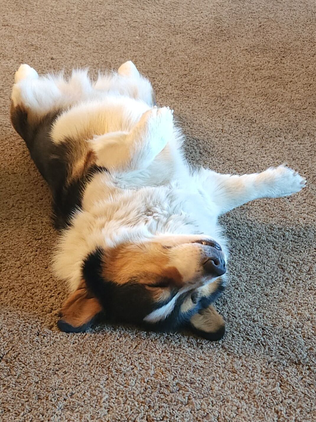 charlie
